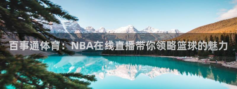 百事通体育：NBA在线直播带你领略篮球的魅力