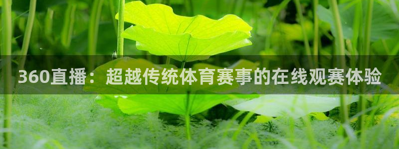 360直播：超越传统体育赛事的在线观赛体验